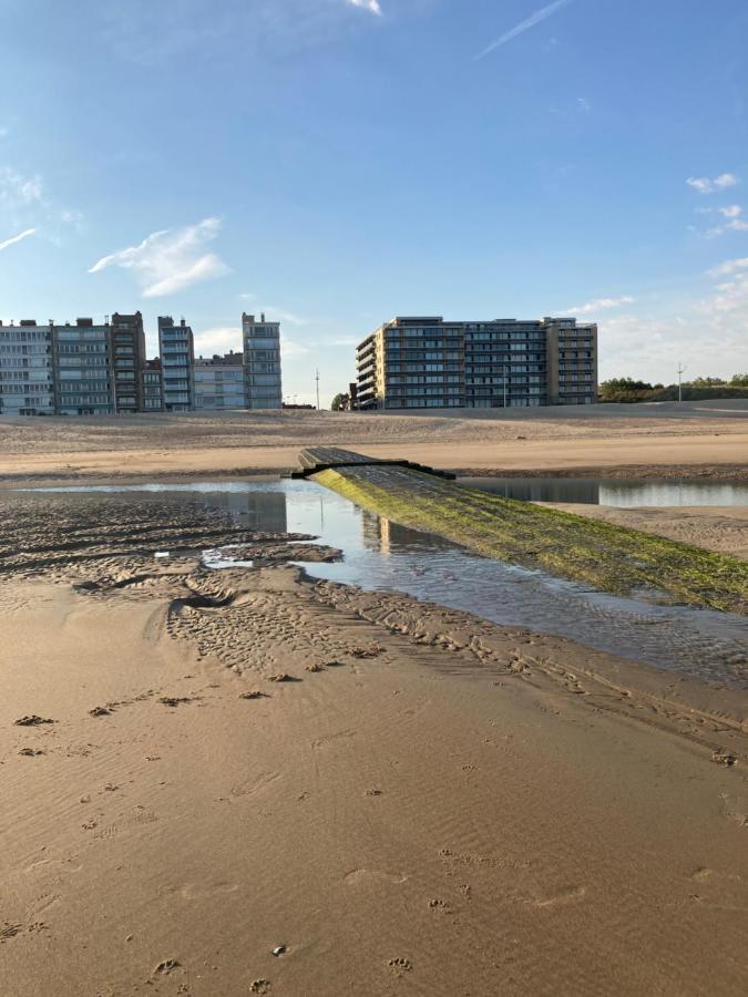 Villa Michry Koksijde 4 Adultes 2 Enfants Proche Digue Et Centre Luaran gambar