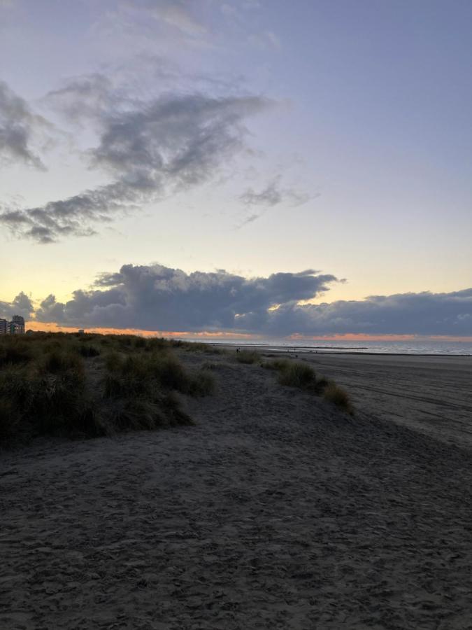 Villa Michry Koksijde 4 Adultes 2 Enfants Proche Digue Et Centre Luaran gambar